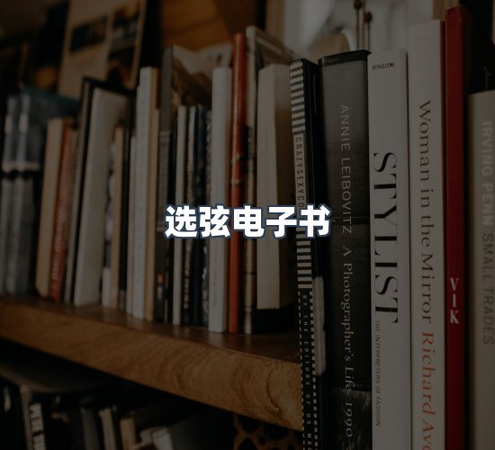 关于选弦电子书